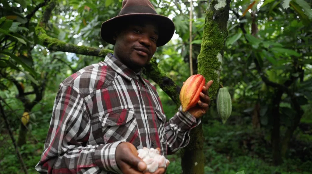 Producteur de cacao avec une cabosse mûre et des fèves fraîches